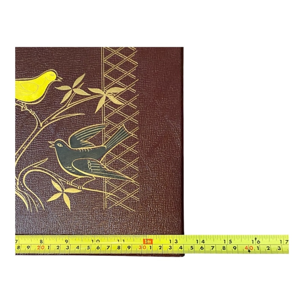 Vintage photo album. Etched painted detail with birds - Picture 7 of 16